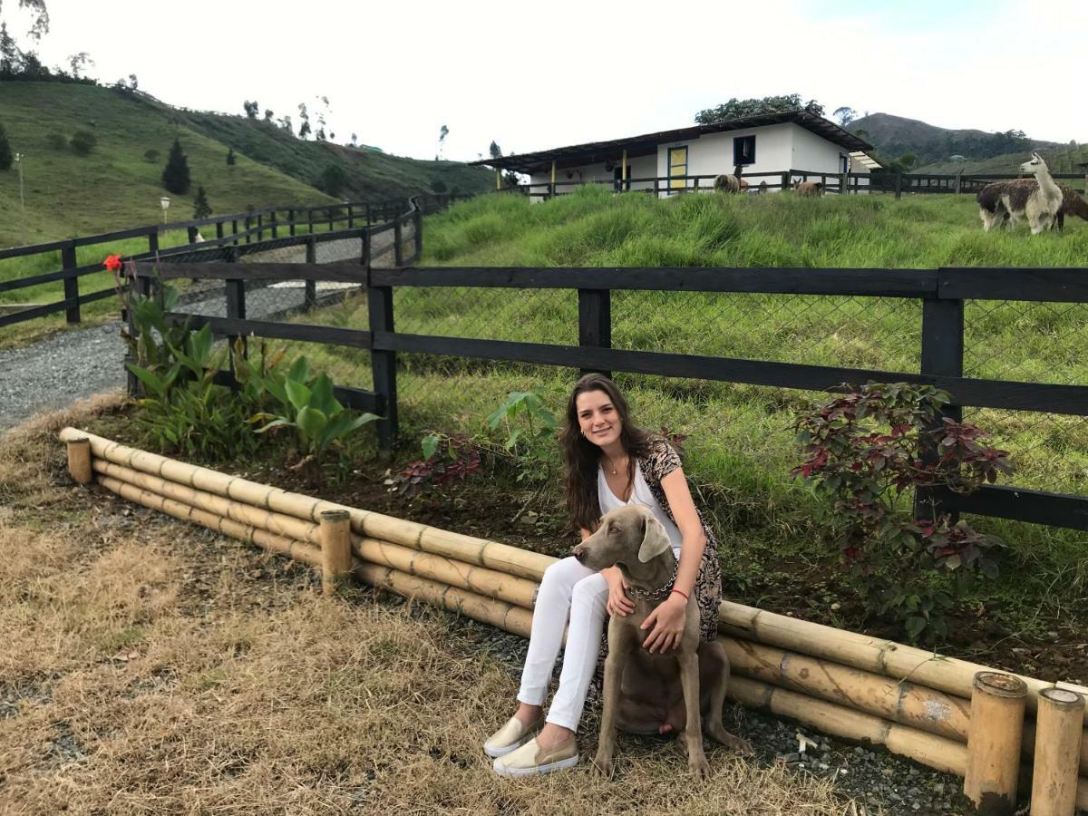 Hotel Bariloche 산타 로사 데 카발 외부 사진