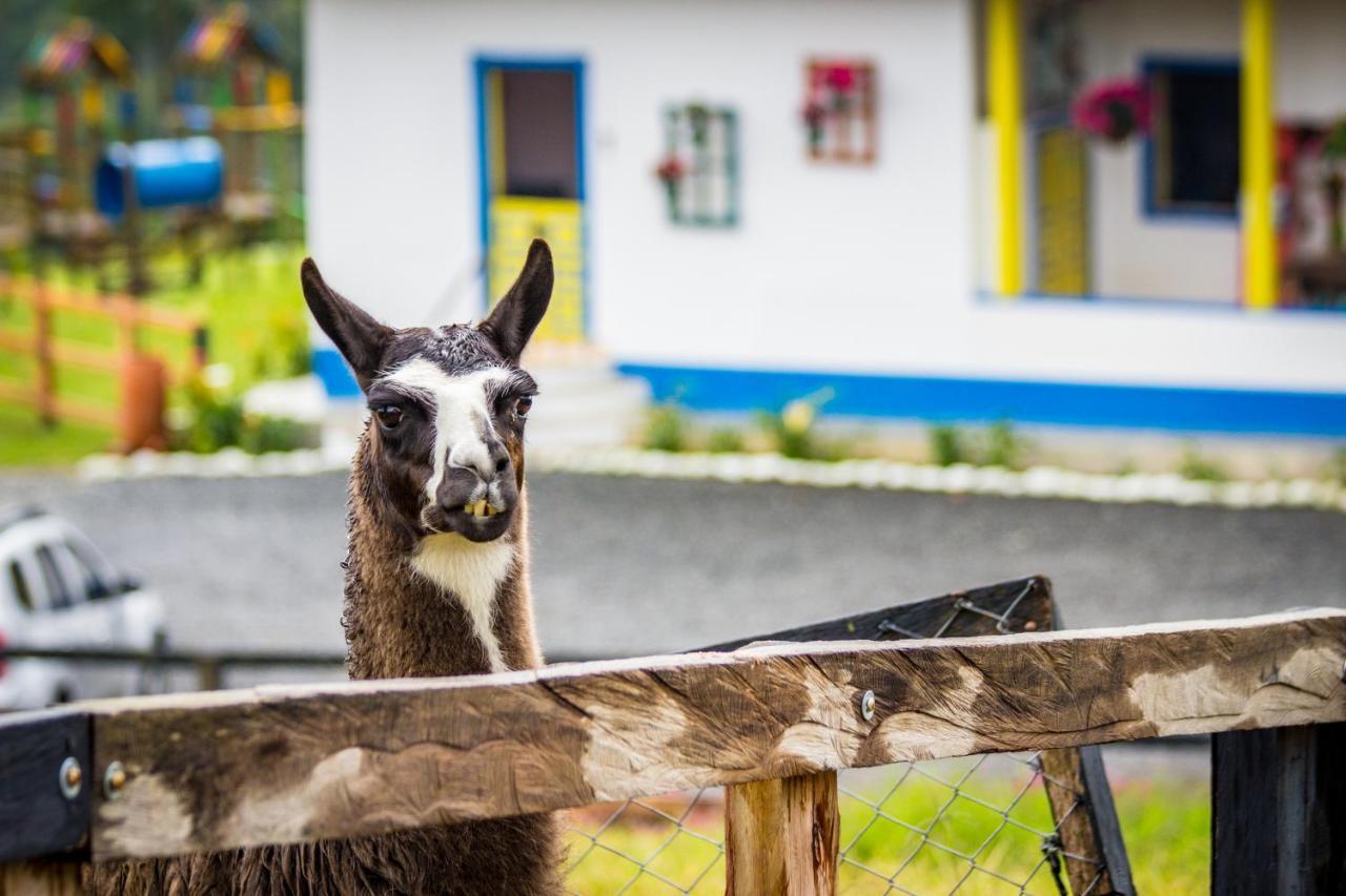 Hotel Bariloche 산타 로사 데 카발 외부 사진
